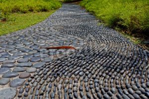 Reflexology Garden